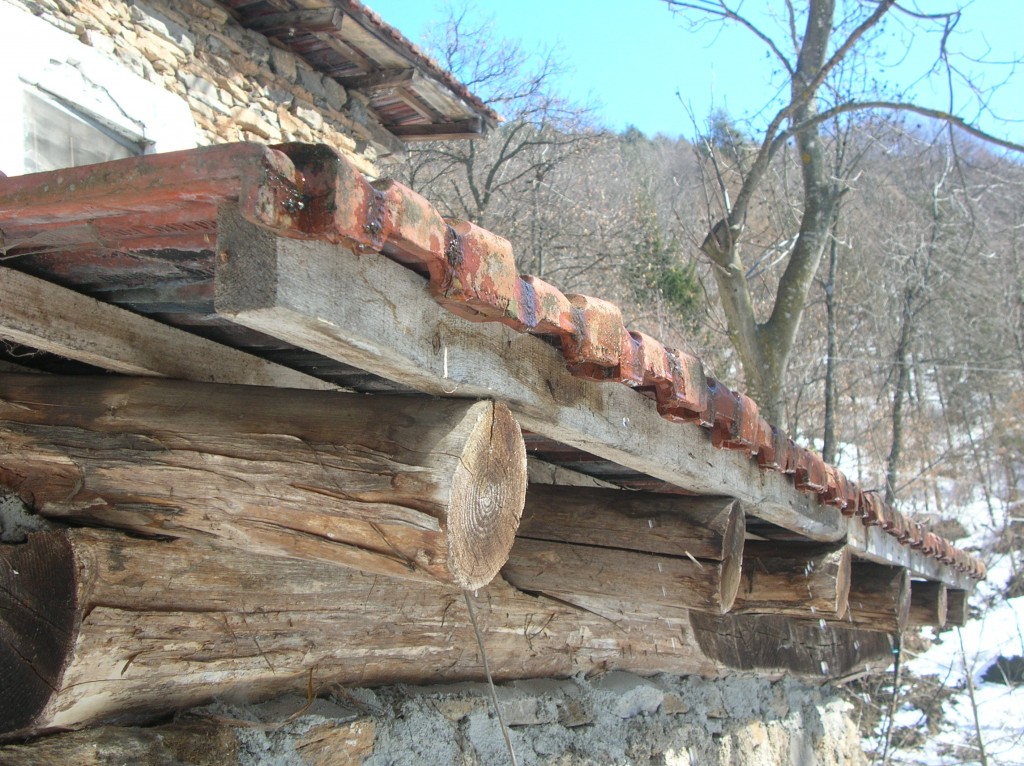 DSCN5840