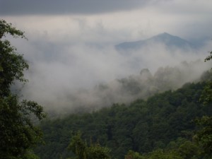 VLUU L110  / Samsung L110