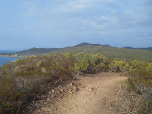 desertu di l'Agriate