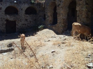 VLUU L110  / Samsung L110