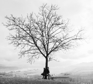 covertin-a Amemanera