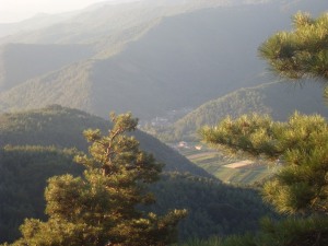 VLUU L110  / Samsung L110