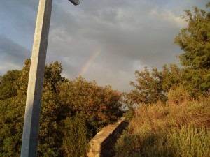 Pigna