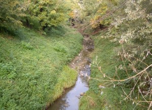 Rio Tepice