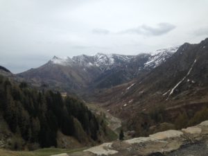 IMG_3037