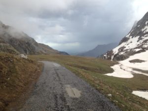 IMG_3125