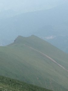 IMG_3176