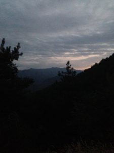 IMG_3519