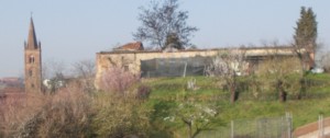 primavera