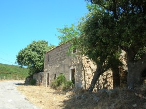 Mola
