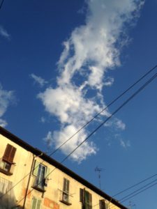 IMG_3571